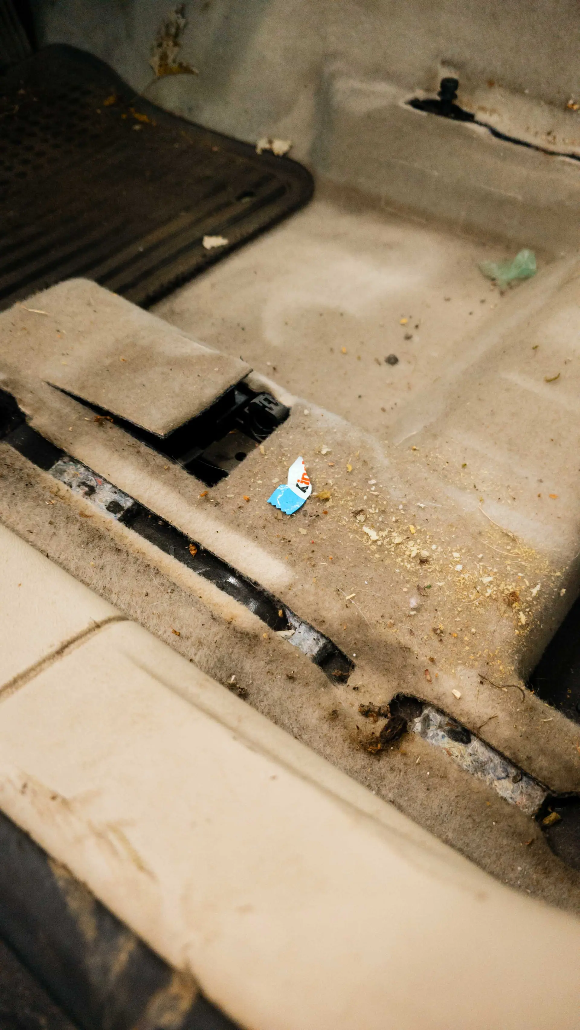 Auto v detailing studiu