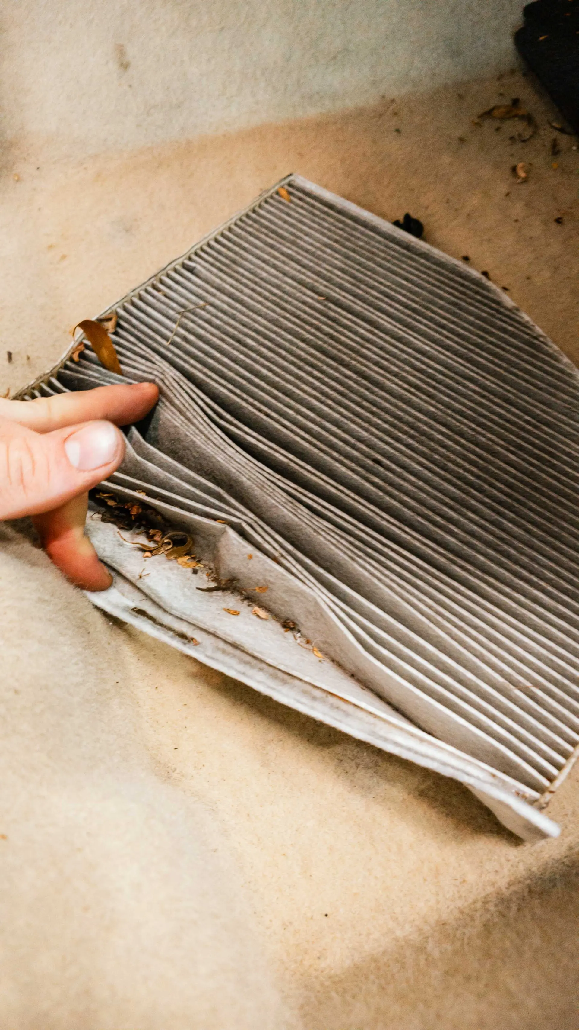 Auto v detailing studiu