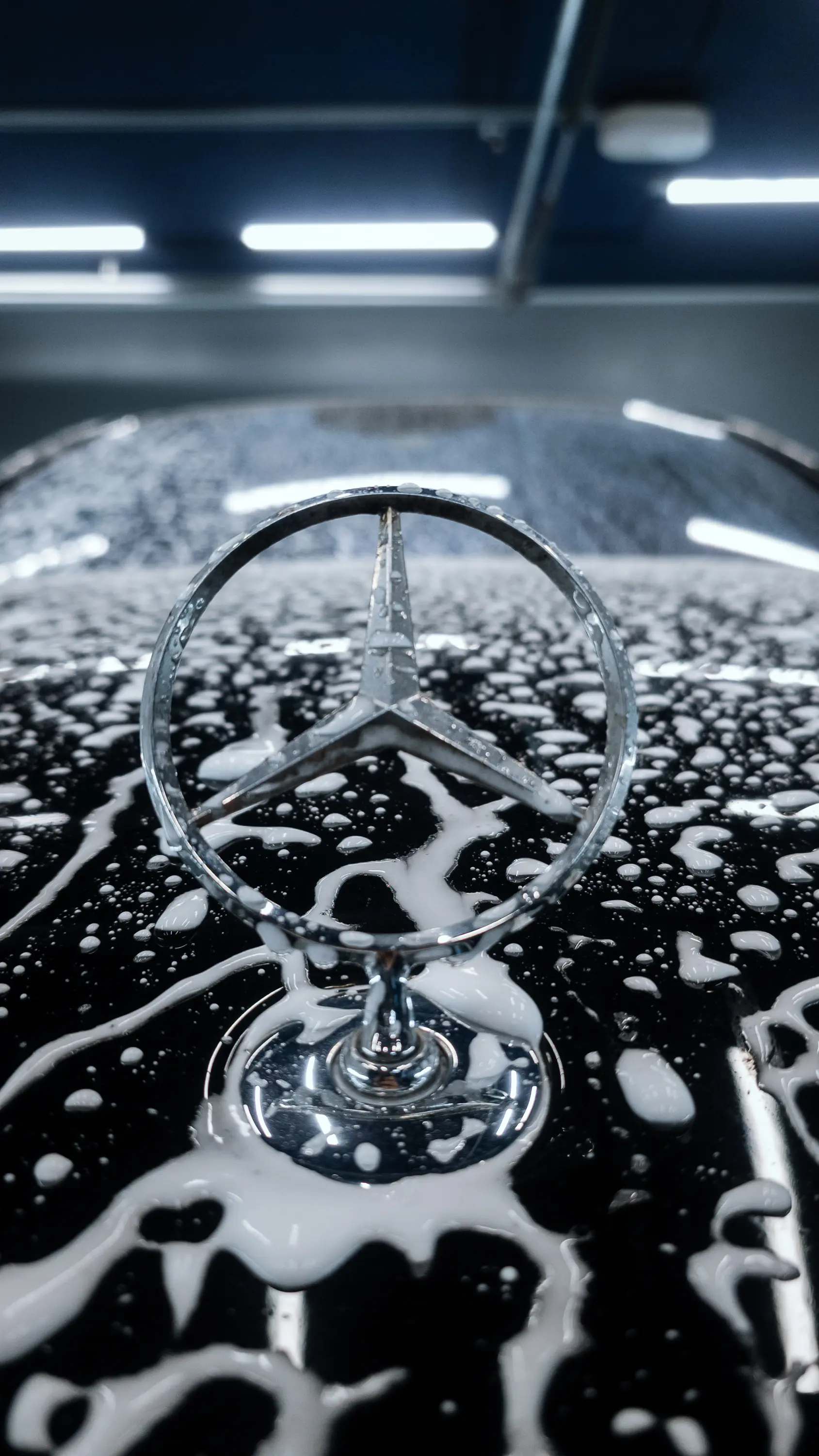 Auto v detailing studiu