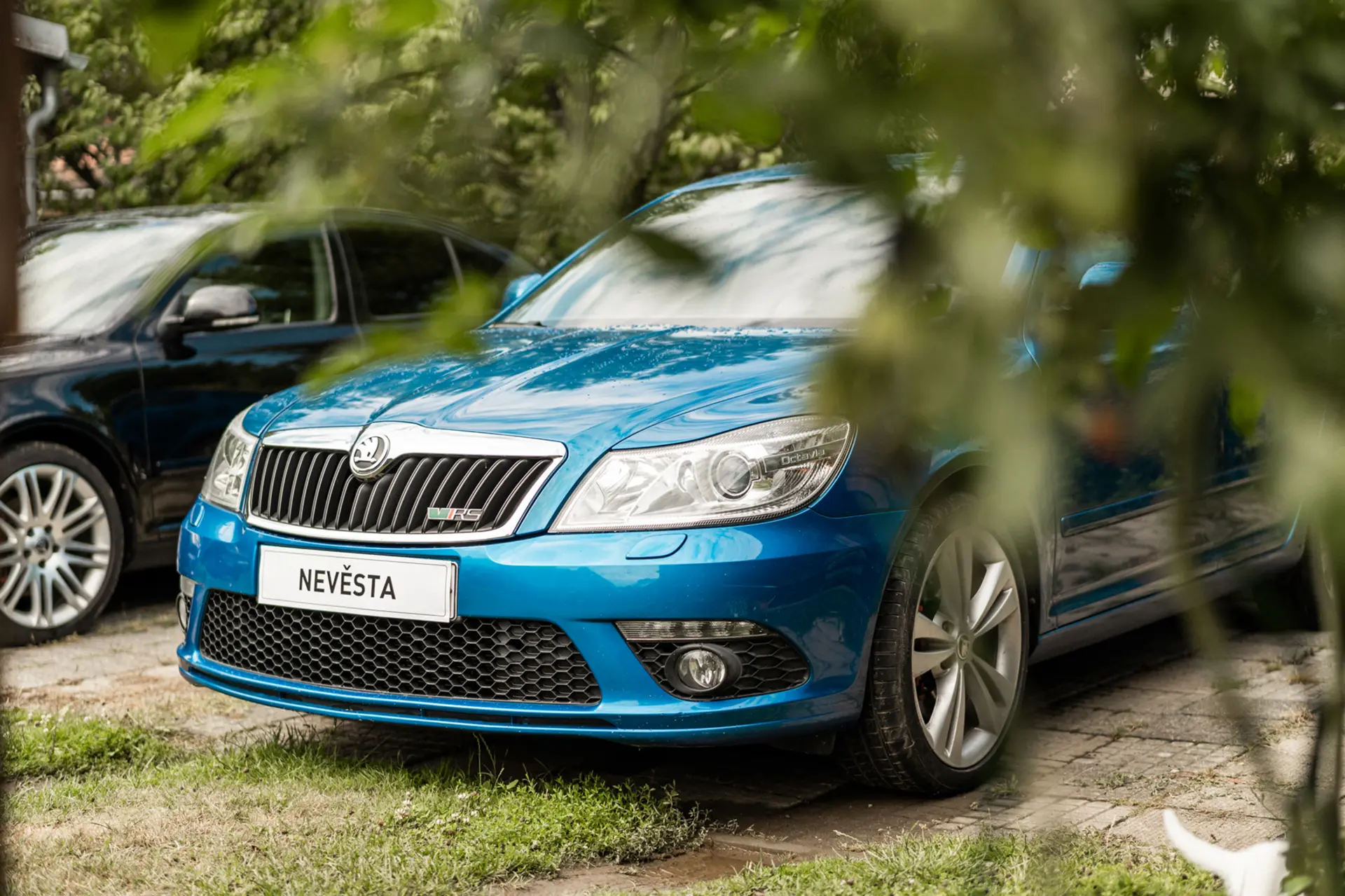 Auto v detailing studiu