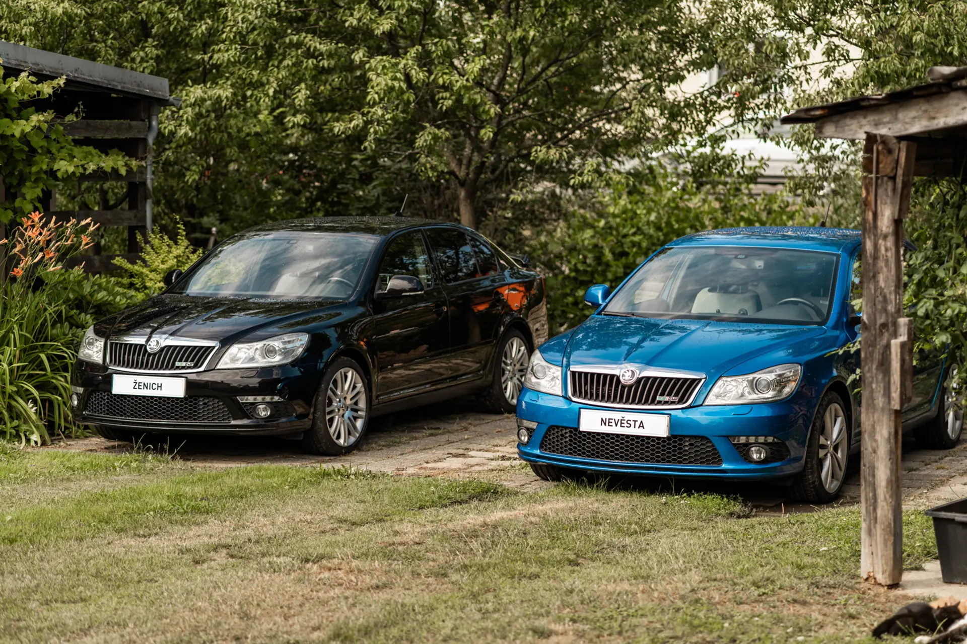 Auto v detailing studiu