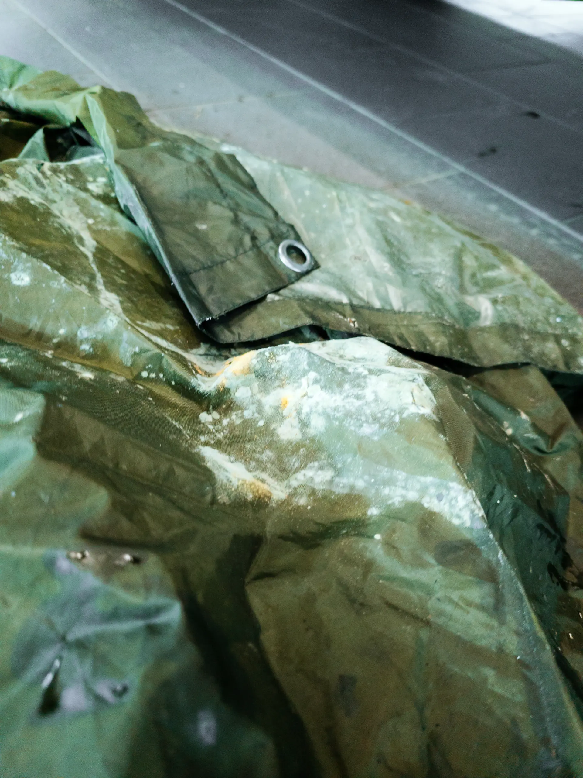 Auto v detailing studiu