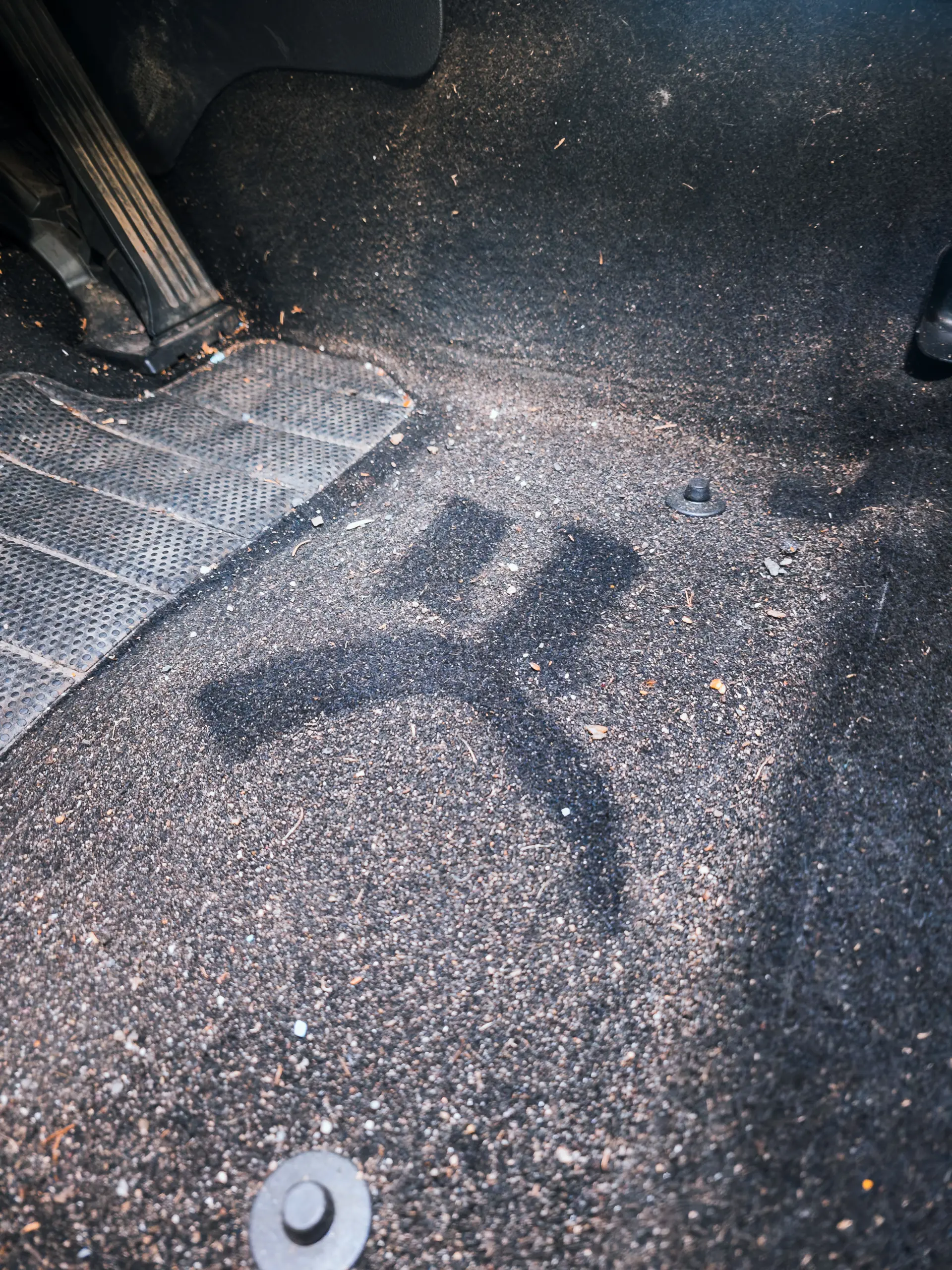 Auto v detailing studiu