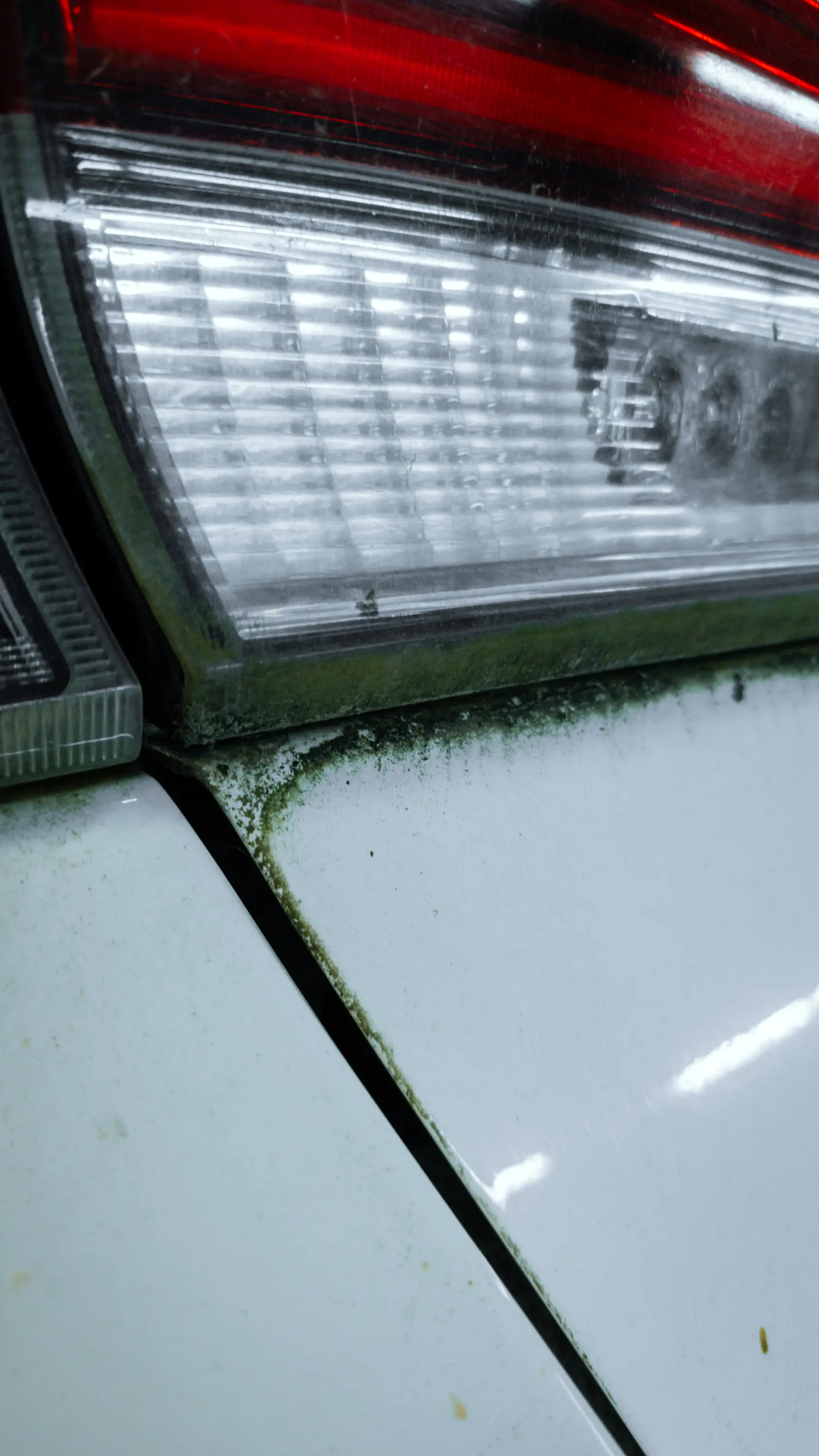 Auto v detailing studiu