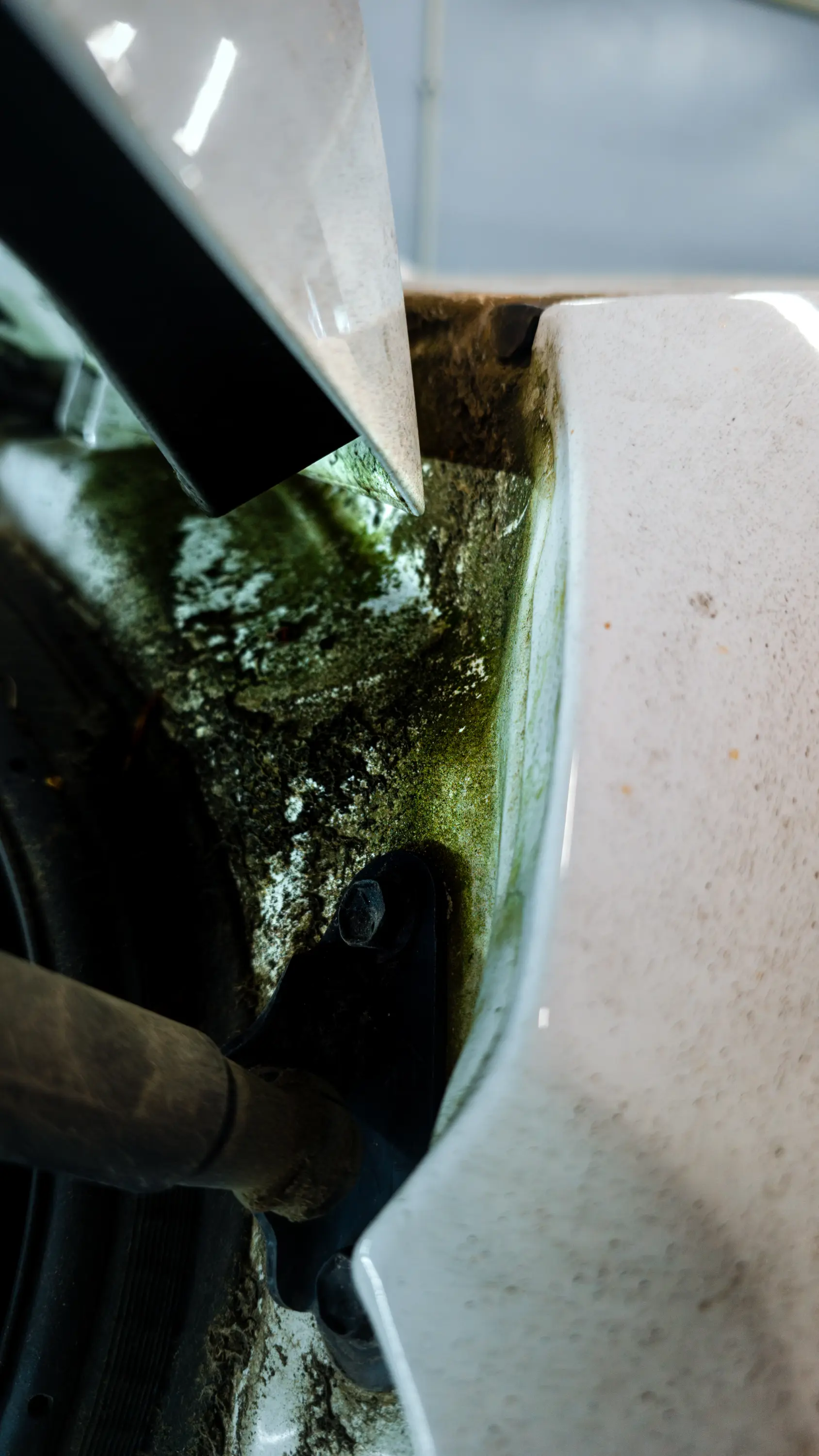 Auto v detailing studiu