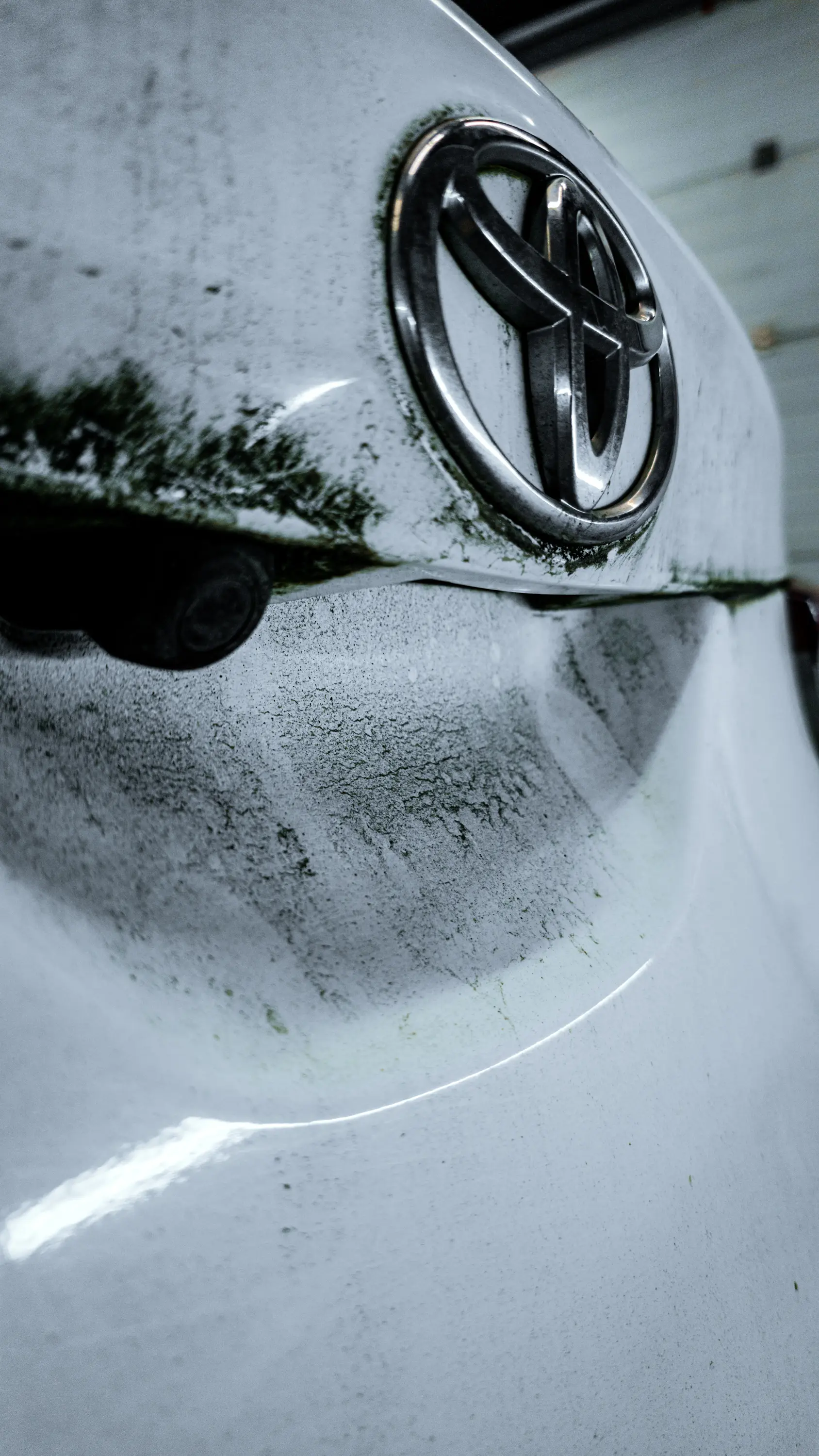 Auto v detailing studiu