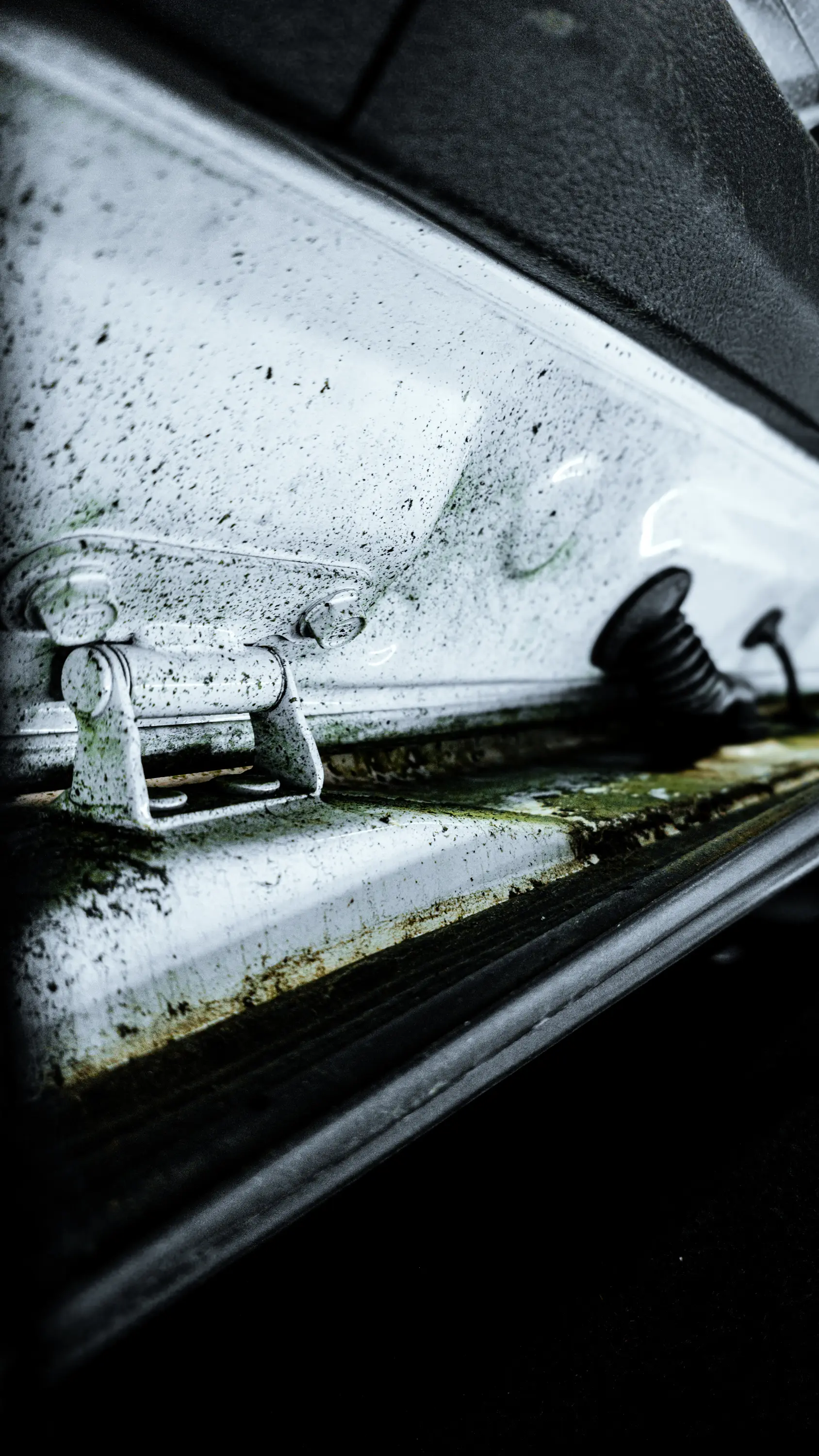 Auto v detailing studiu