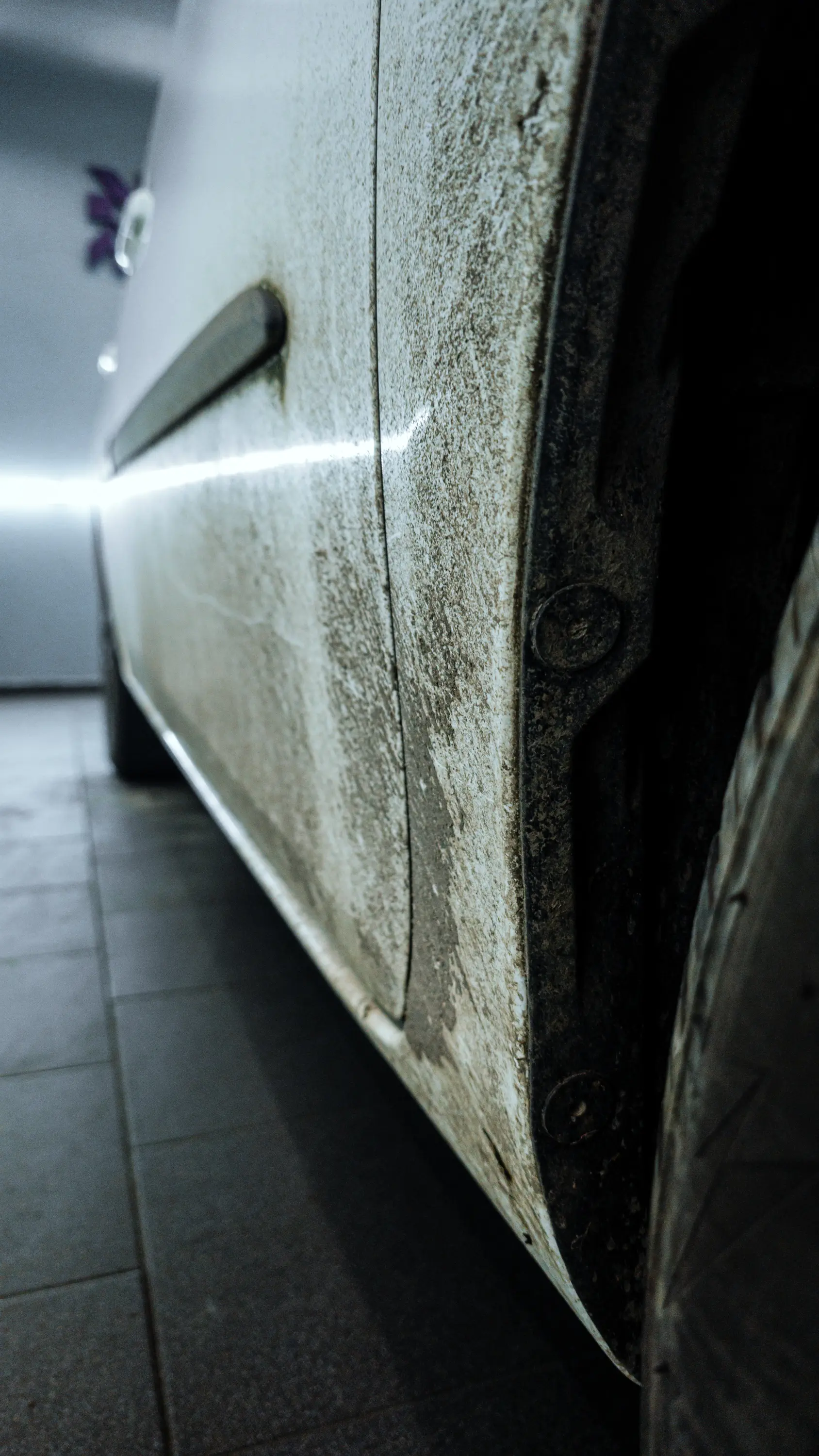 Auto v detailing studiu