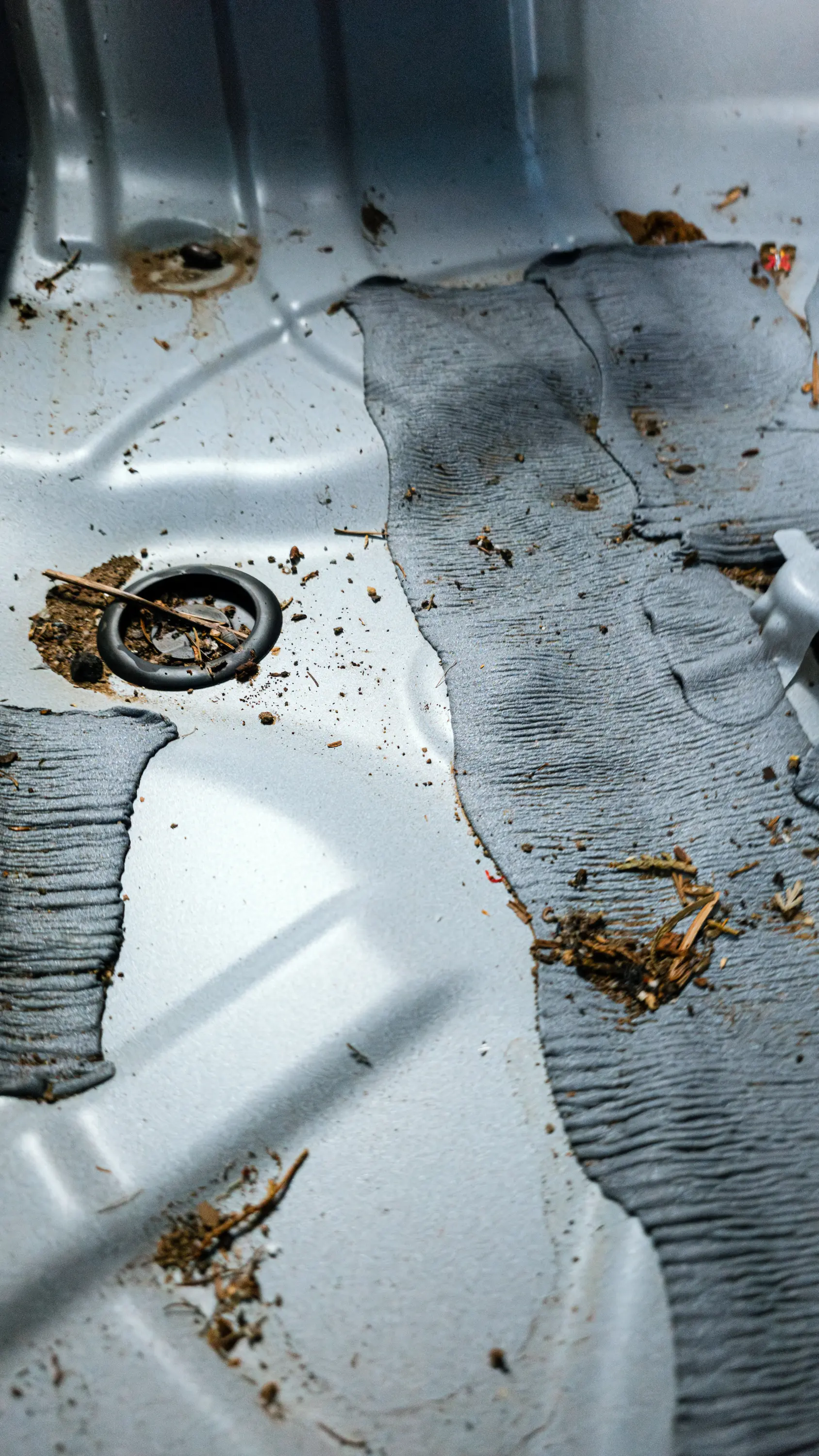 Auto v detailing studiu