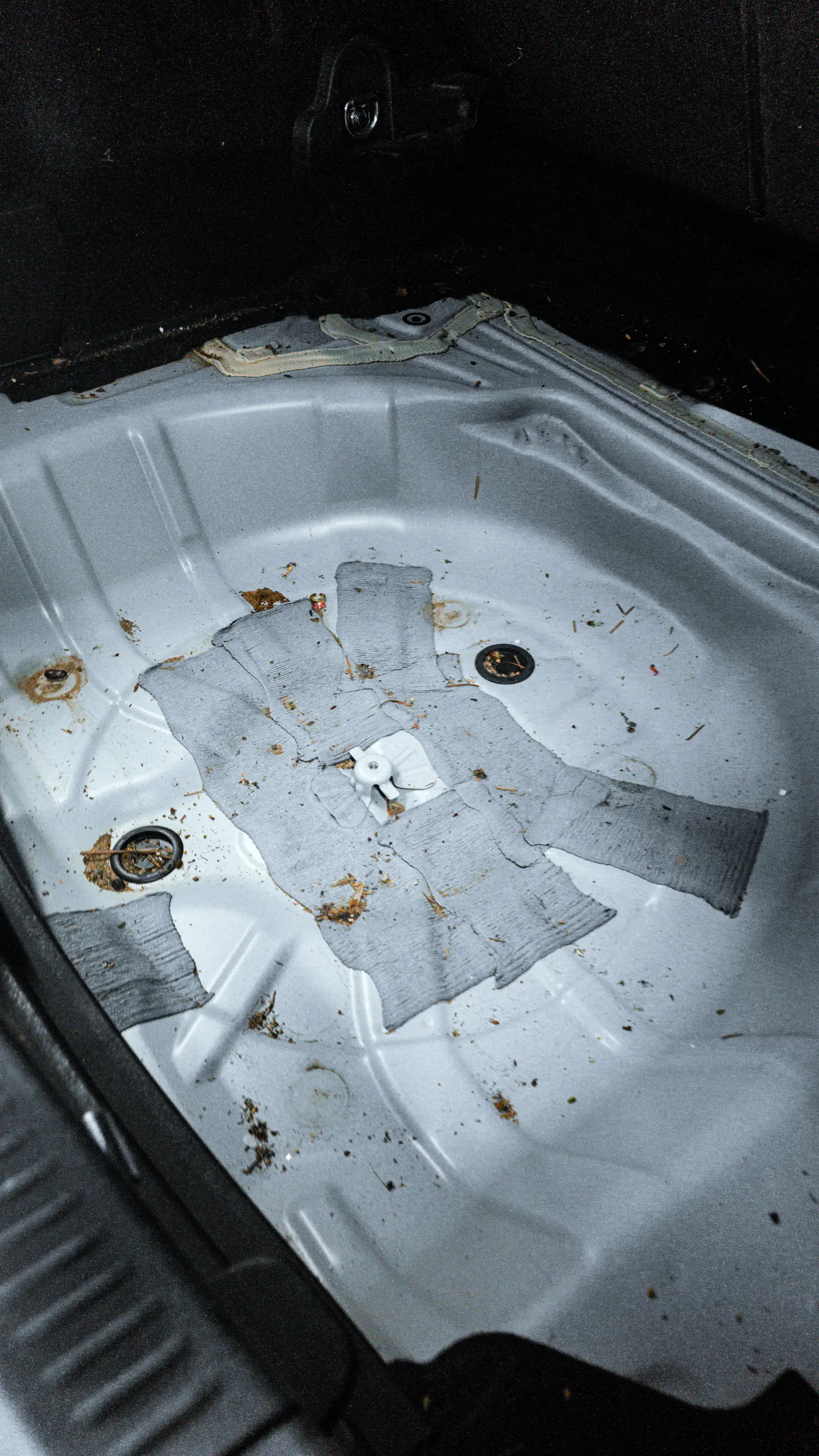 Auto v detailing studiu