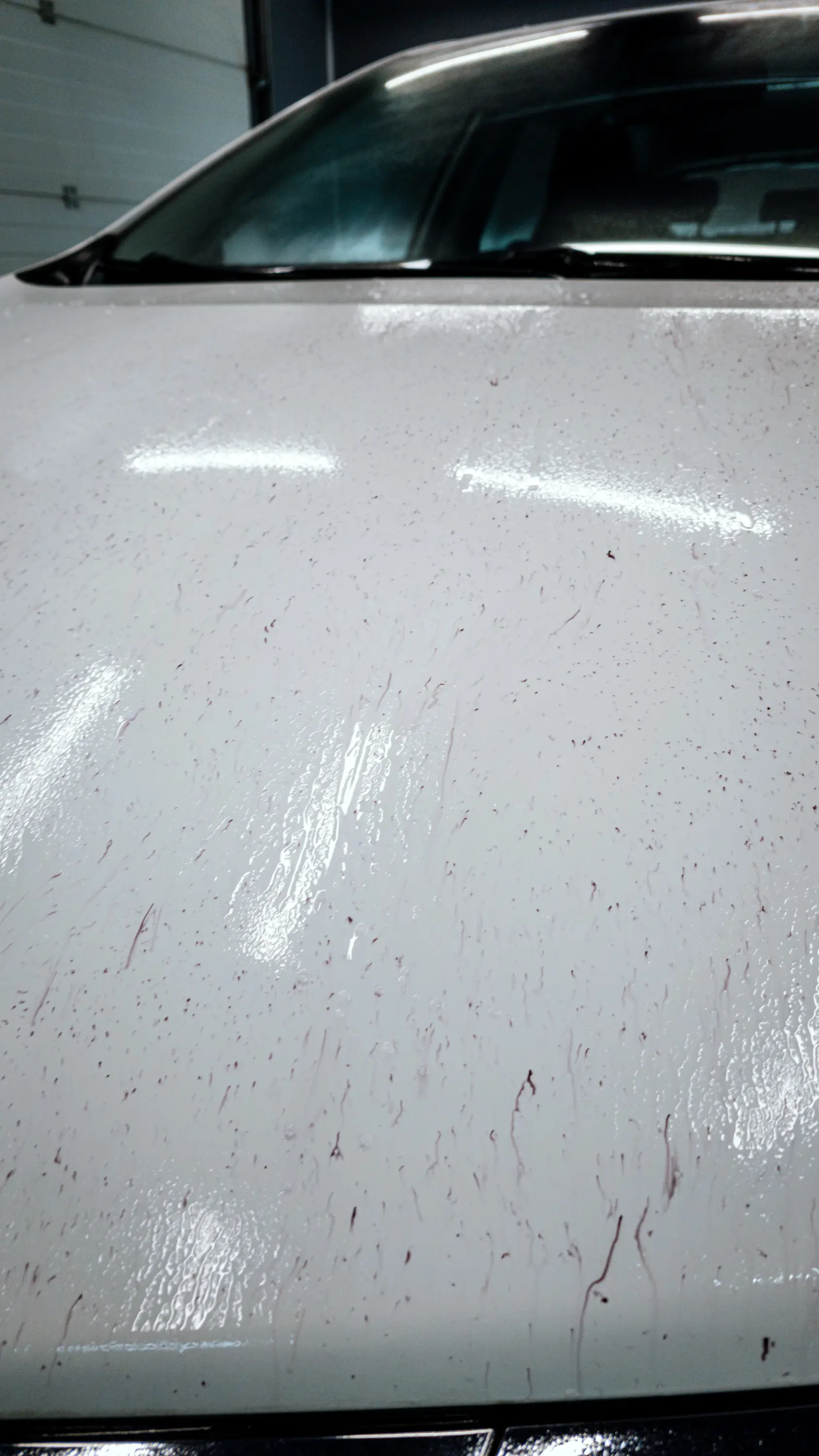 Auto v detailing studiu