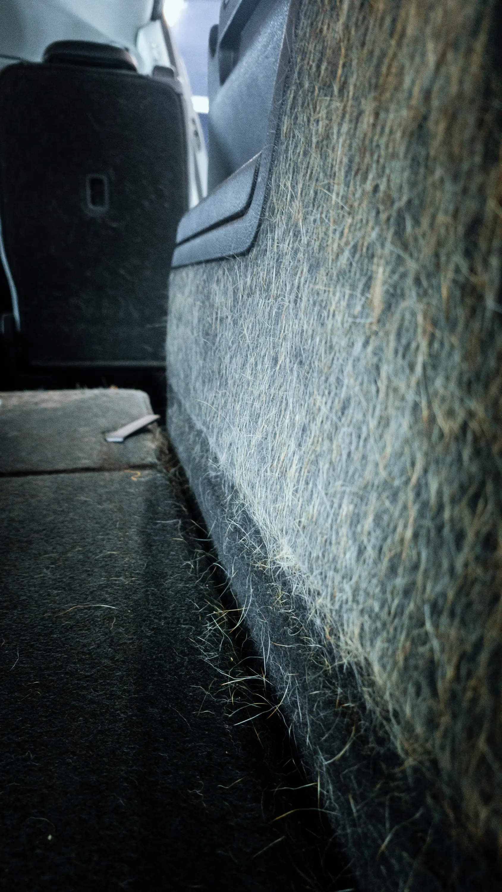 Auto v detailing studiu