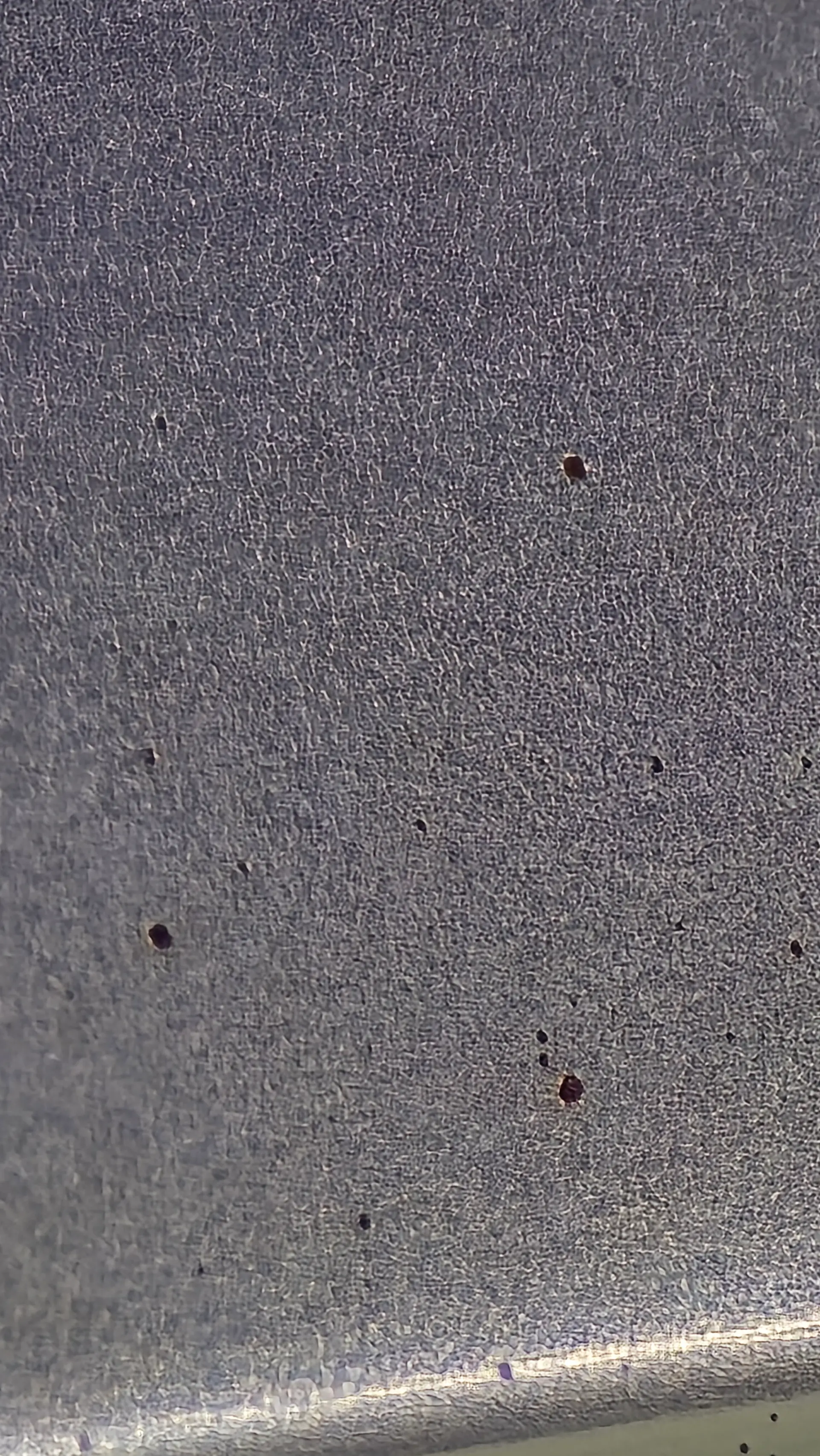 Auto v detailing studiu