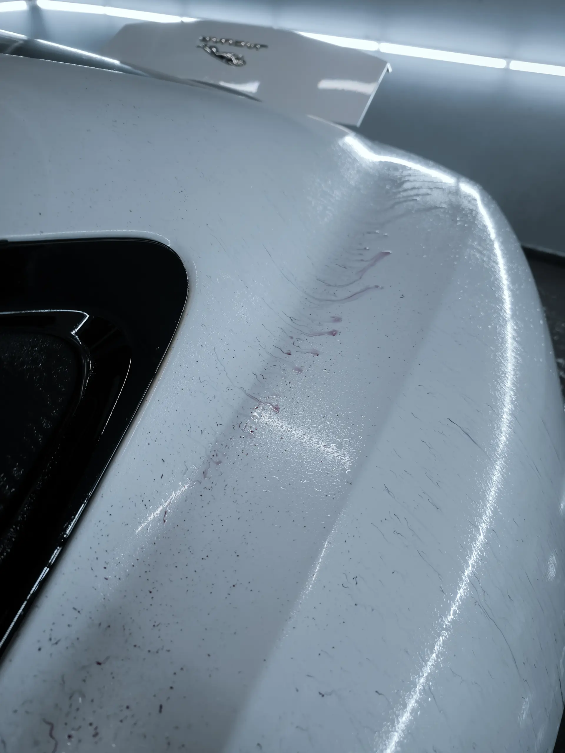 Auto v detailing studiu