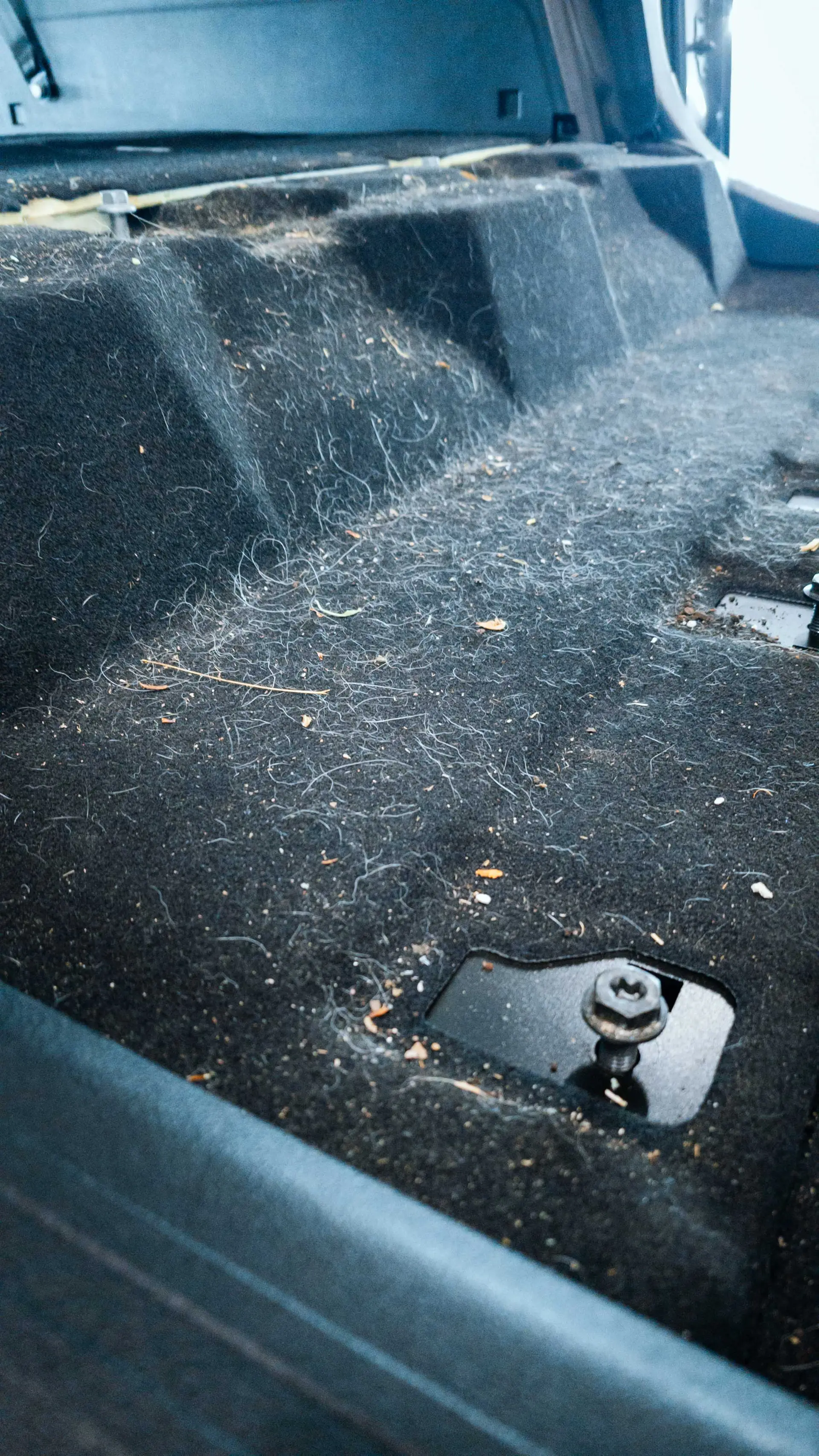 Auto v detailing studiu