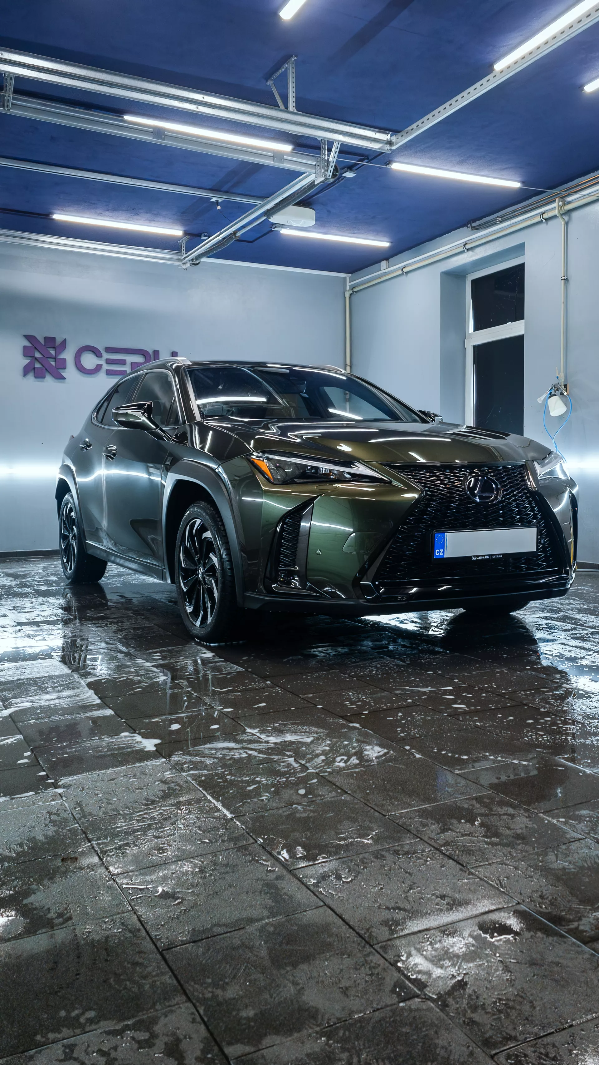 Auto v detailing studiu