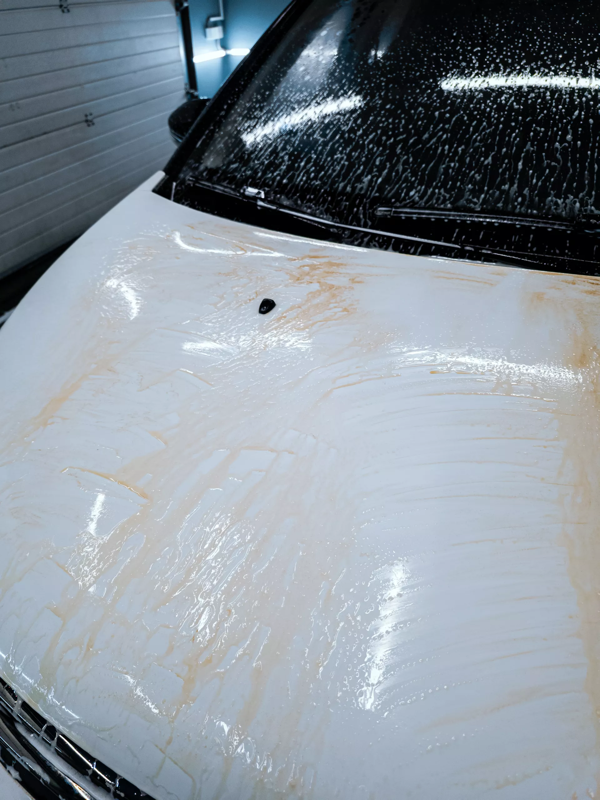 Auto v detailing studiu