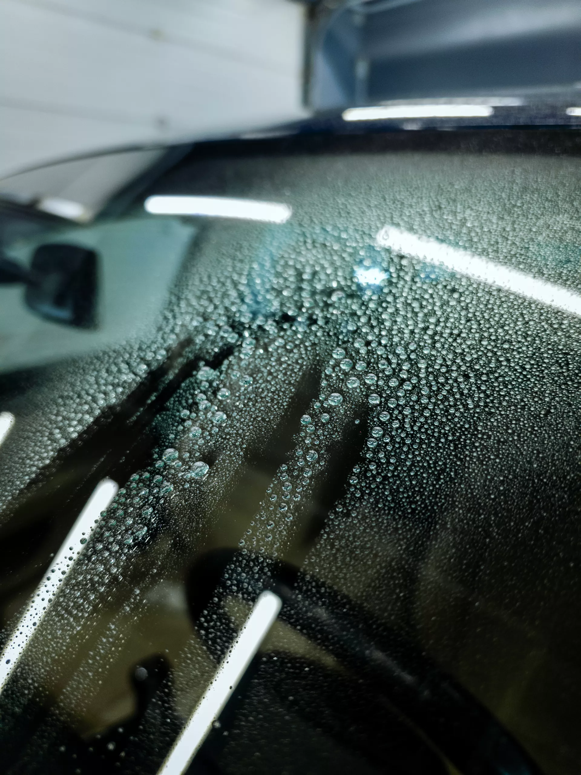 Auto v detailing studiu