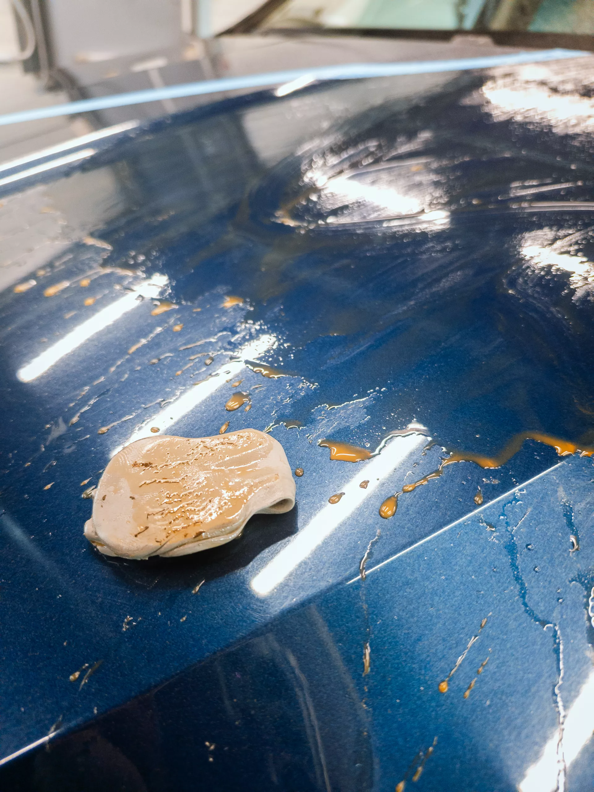 Auto v detailing studiu