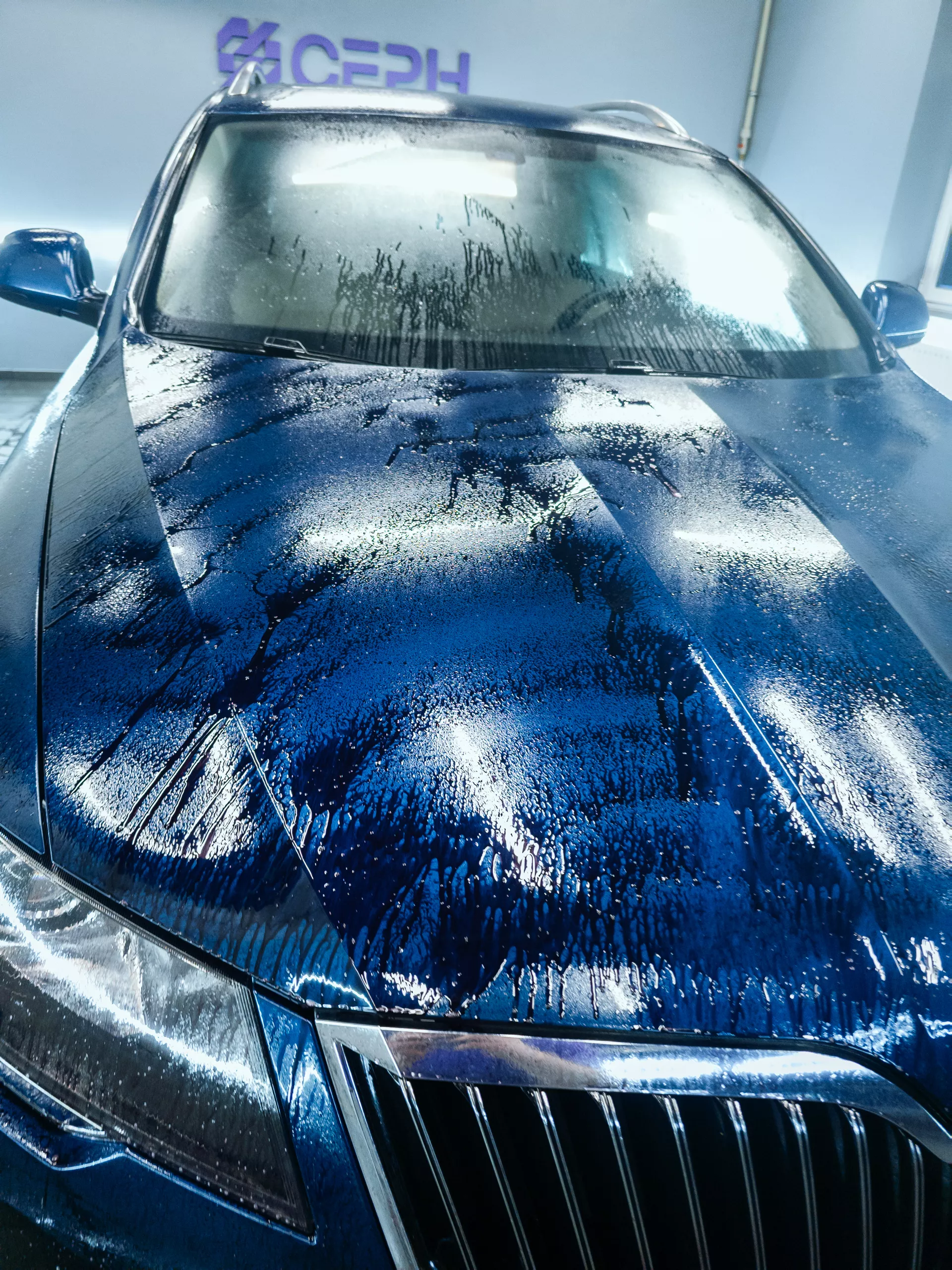Auto v detailing studiu