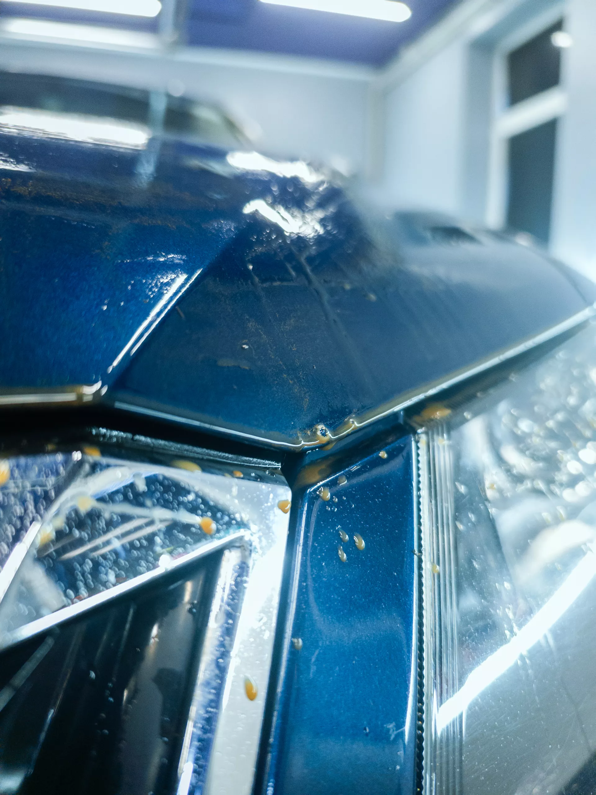 Auto v detailing studiu