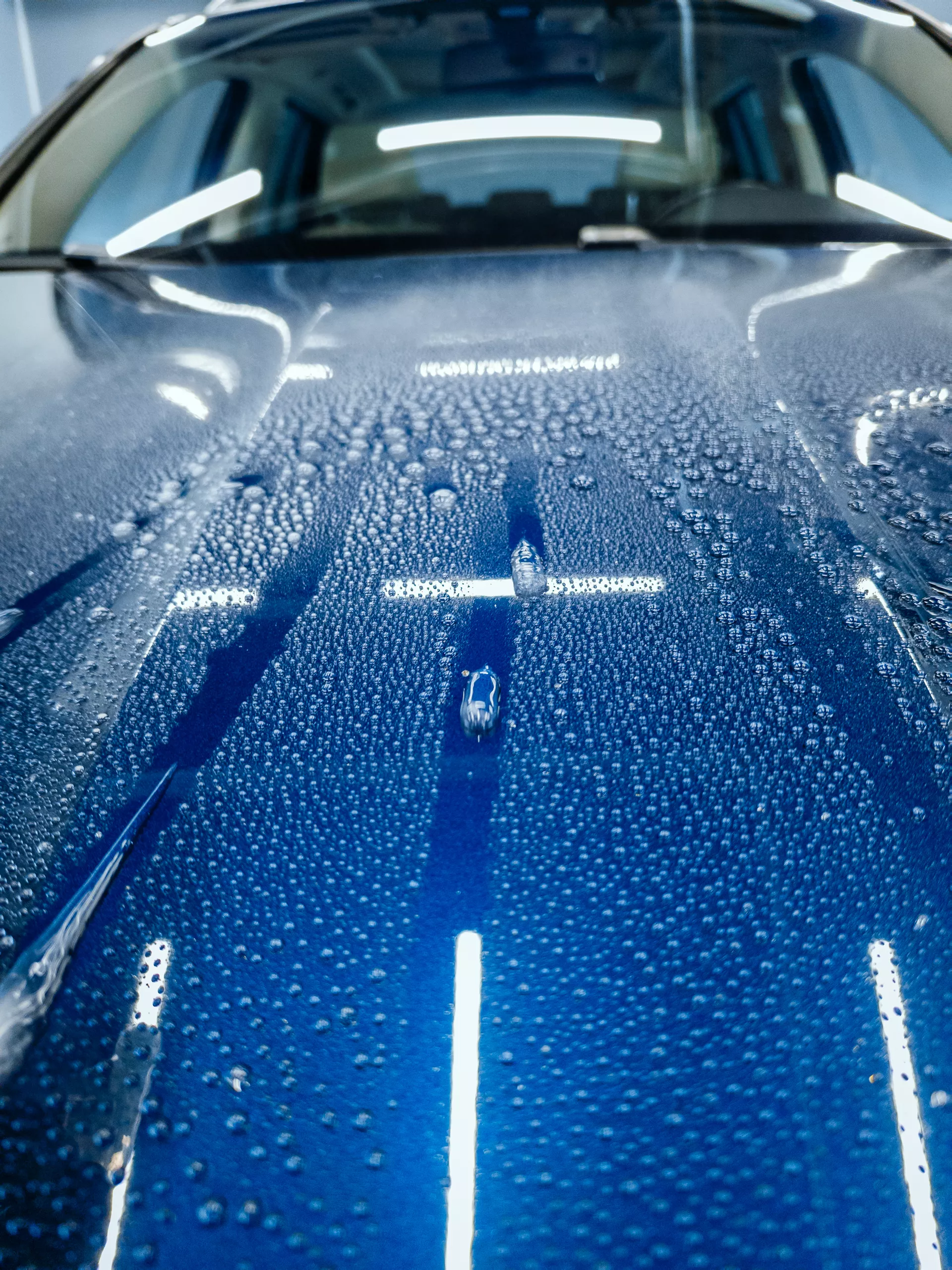 Auto v detailing studiu