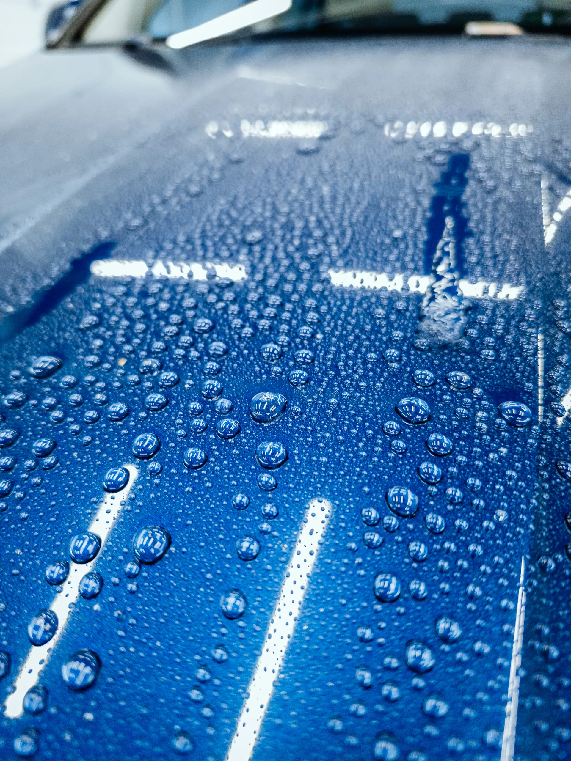 Auto v detailing studiu