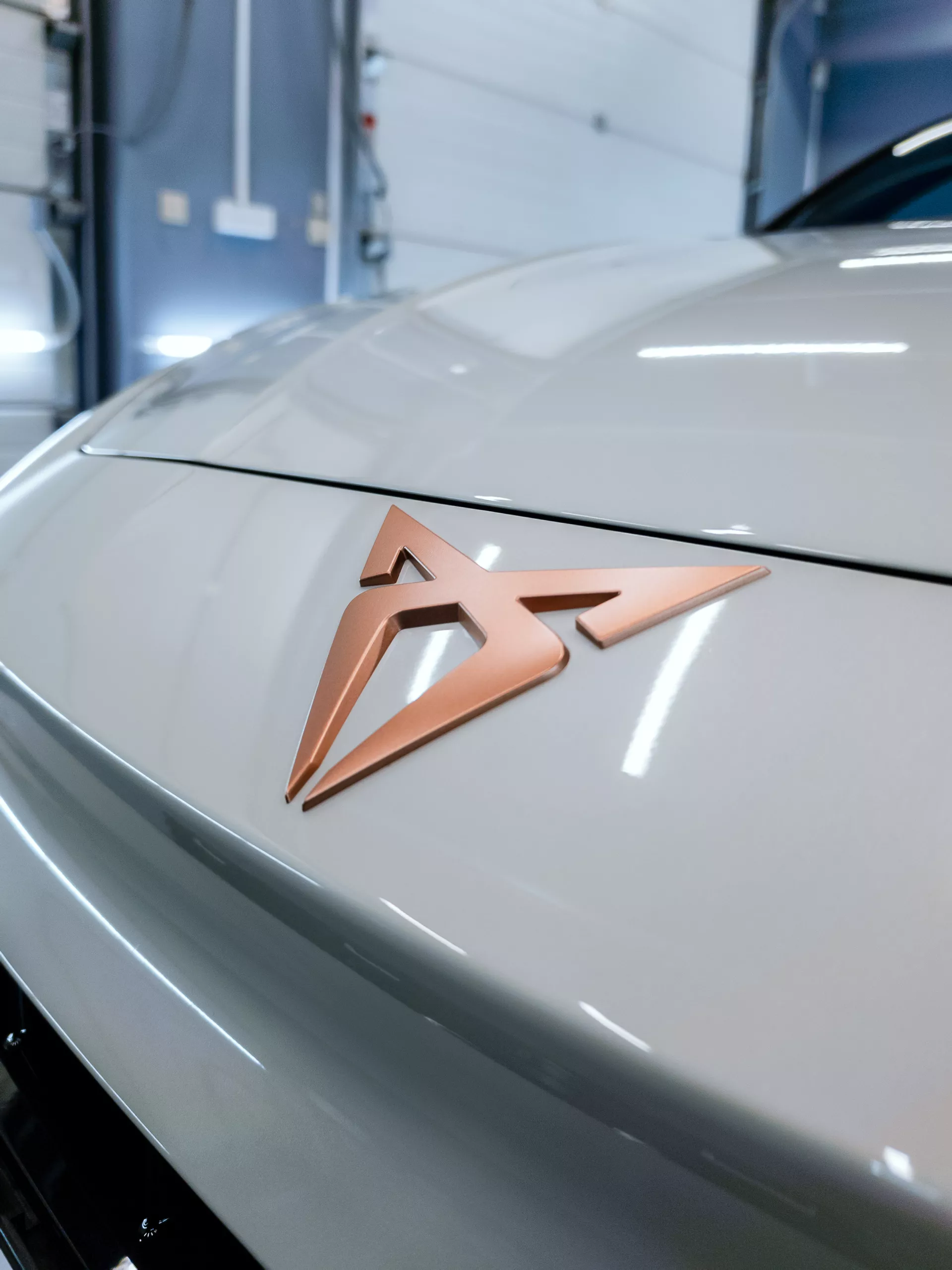Auto v detailing studiu