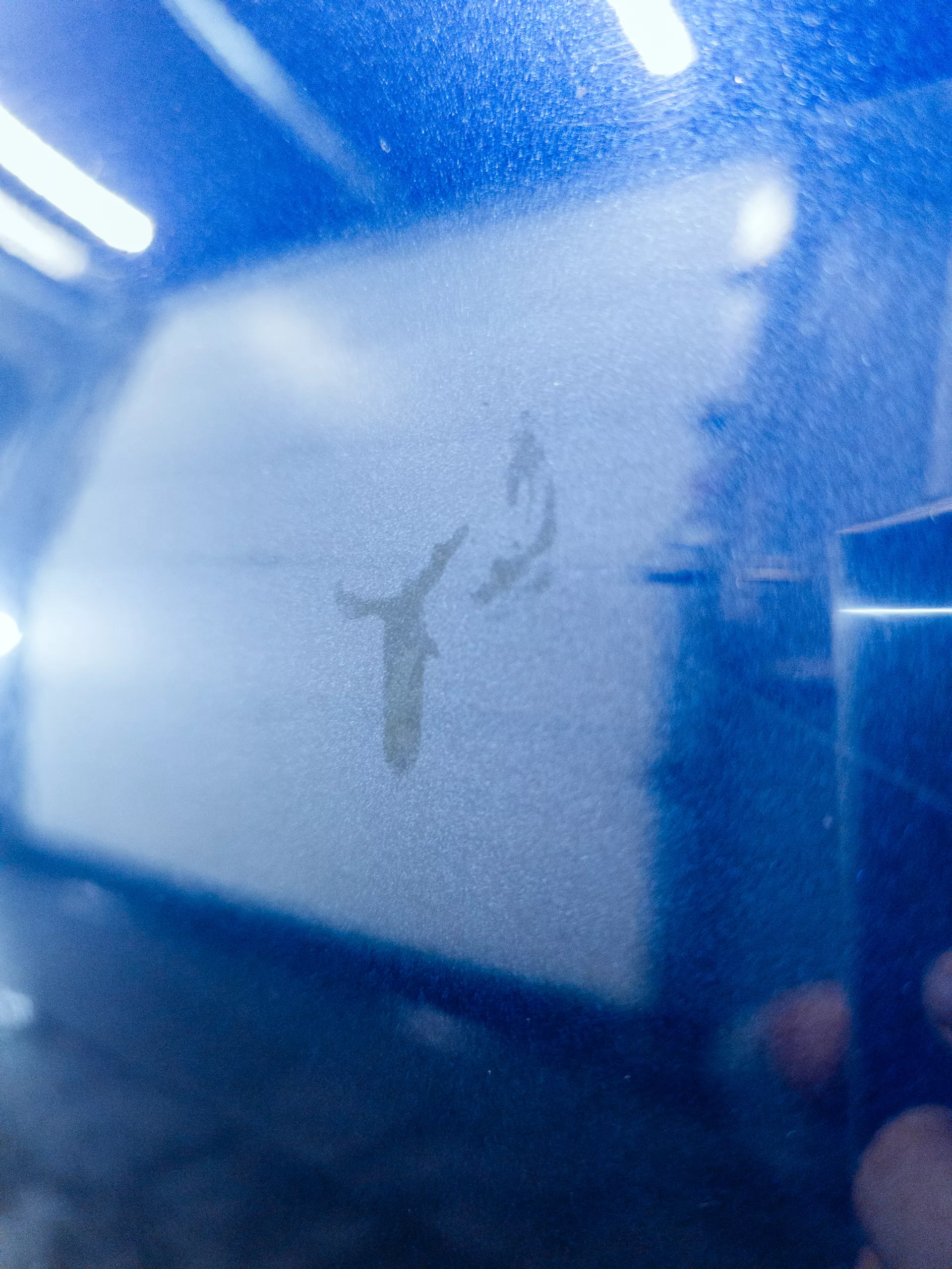 Auto v detailing studiu